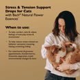 thumbnail image 2 of Bach RESCUE REMEDY PET Cat Dropper 10mL, Natural Calming Drops for Cats & Kittens, 2 of 8