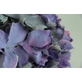 thumbnail image 3 of 6 Piece Lavender Hydrangea Artificial Flower Stem Set, 3 of 3