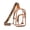 Large-Brown-Leopard, variant on Wrangler Crossbody Clear Sling Bags for Women Stadium Approved Cross Body Purse for Sports Events Concerts