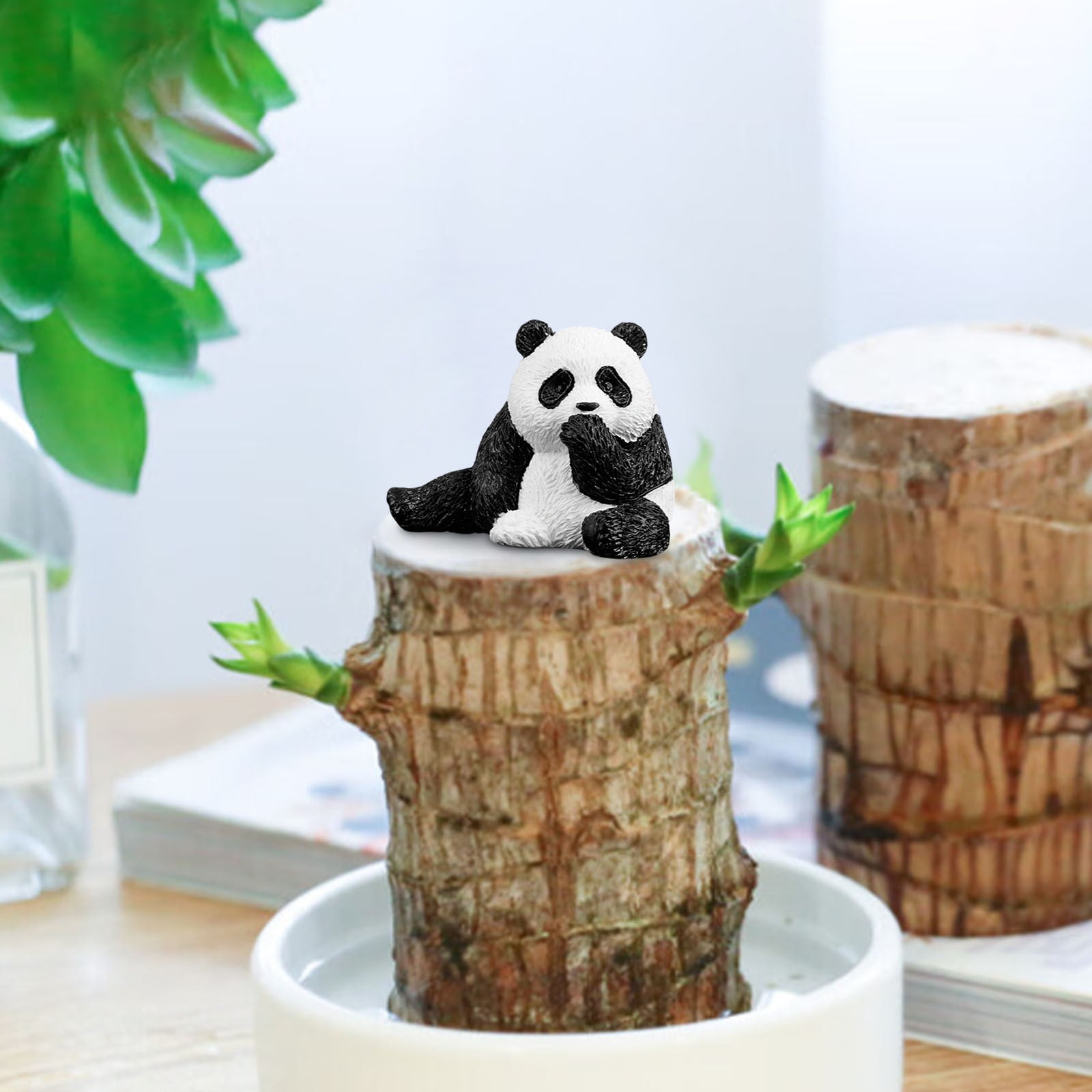 Fridja Mini Panda Decor for Brazilian Wood Plant, Brazil Tree