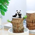 thumbnail image 5 of SSZMDLB under $5 Wood Decor, Hydroponic Panda Ornament, Resin Tabletop Decoration Piece, Cute Animal Figurine for Shelf, Home Office Desk Decor Accent, 5 of 6