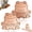 Frog, variant on 2 Pack Bird Bath Copper Disk 99.99% Pure Copper Bird Bath Cleaner 4" Triple-Point Support All-Season Water Cleaber for Outdoor Bird Baths & Bowls