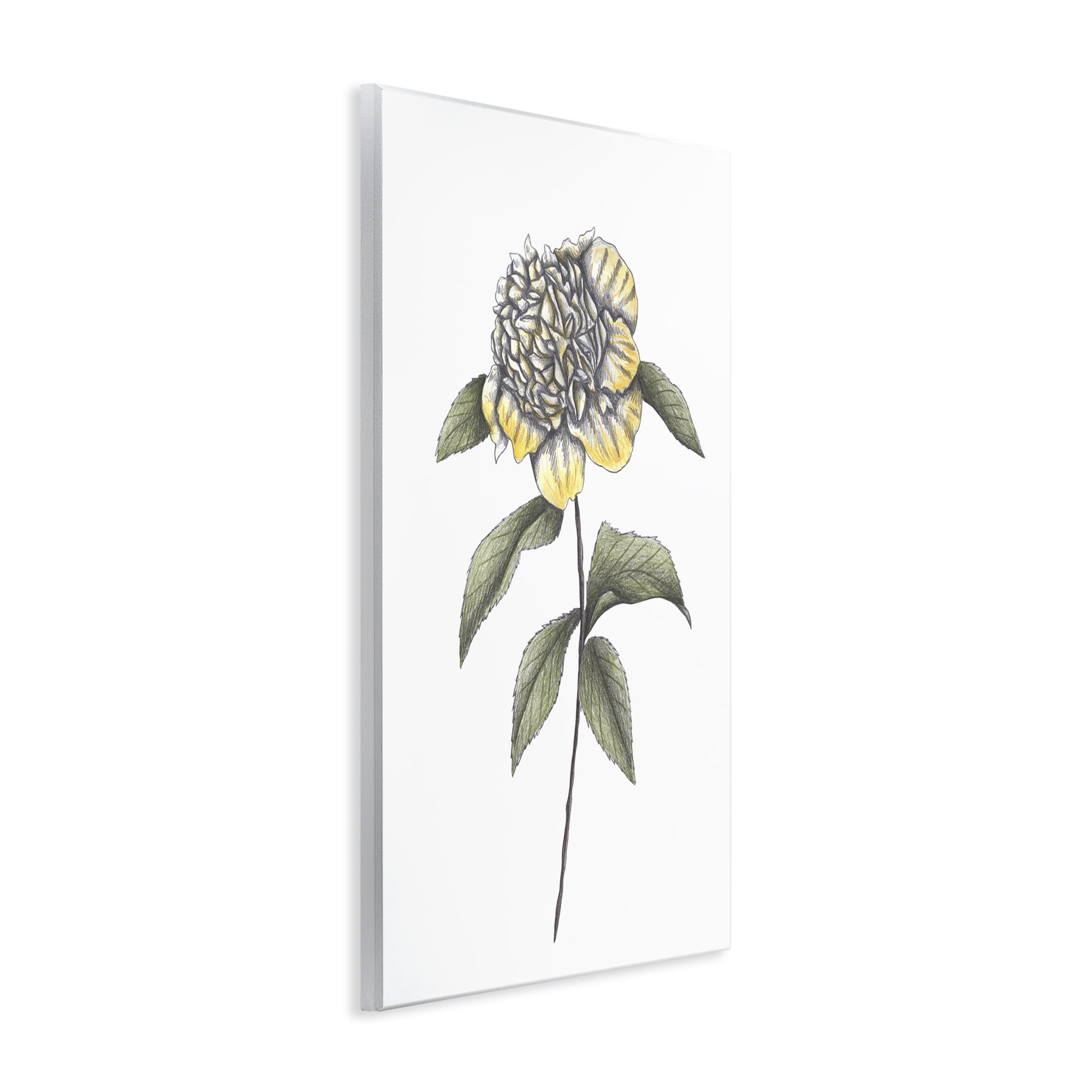 Camellia Flower Illustration Wall Plaque Art, design by Cecilia Battaini