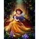 thumbnail image 1 of Cuadros Decorativos Pintura al óleo de Blancanieves de Disney por números DIY pintura acrílica sin marco (B1939) Likrtyny embutido en tela, 1 of 9