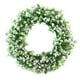 thumbnail image 2 of Simulation Wreath Welcome Door Decoration Green Wreath Wooden Sign Pendant, 2 of 9