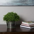 thumbnail image 3 of Vickerman FF170601 Demi-boule Verte Verte Mixte de 13 Po, 3 of 4