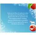 thumbnail image 2 of Celestial Seasonings Cold Brew Raspberry Black Iced Tea Bags, 18 Count, 2 of 6
