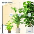 thumbnail image 2 of Standing Grow Light with Timer, 42W, 169 LEDs, Full Spectrum Vertical Grow Light for Indoor, Wide Covera, 4FT to 5.6FT Height with Foot Switch, Ideal for Flowering and Tall Plants, 2 of 5