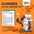 thumbnail image 3 of Wild & Organic Mushroom Gummies - Lion's Mane, Cordyceps, Turkey Tail, Reishi, Chaga, Maitake - 10-in-1 Complex - Mushroom Supplement Gummies for Immune & Brain Support - 60 Count, 3 of 4