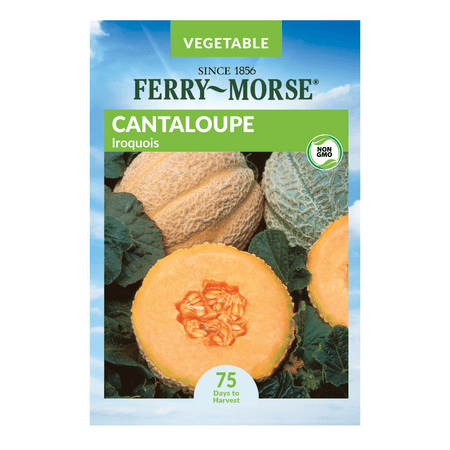 Ferry-Morse 95MG Cantaloupe Inspire Hybrid Vegetable Plants Seeds (1 Pack)- Seed Gardening, Full Sunlight