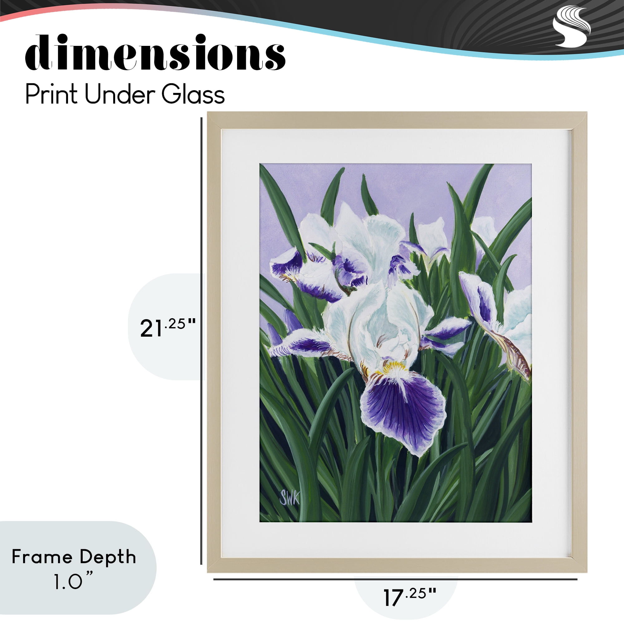 Stupell Industries Purple & White Irises Birch Framed Print Under Glass, design by Sarah Waldron Kimball