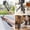 black, variant on Mini Tripod Extendable Mini Camera Tripod, Portable Selfie Stick Handle Grip Desktop Webcam Tripod with 1/4" Screw for DSLR Camera Webcam Phone Holder Selfie Stick Vlog Tripod