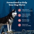 thumbnail image 5 of Blue Buffalo Wilderness High-Protein, Salmon Adult Dry Dog Food, 13lb Bag, 5 of 13