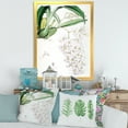 thumbnail image 3 of Designart 'Ancient White Orchid II' Traditional Framed Art Print, 3 of 4