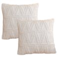 thumbnail image 1 of Throw Pillow Cover Plush: 2PCS Modern Pillow Case Cushion Cover Pillow Protector, 1 of 10