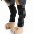 thumbnail image 1 of Pet Fracture Splint Dog Protector Box Orthopedic Restoration Joint Bandage Front and Back Leg Protector, 1 of 5