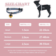thumbnail image 3 of Collar de nailon para perros El collar suave y ajustable para cachorros es adecuado para perros pequeños y medianos MFZFUKR CPB-US-YY407-3, 3 of 5