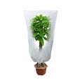 thumbnail image 2 of Planta de invierno con cordón de tela de cubierta de protección de plantas de arbusto de árbol contra el frío JShteea El nuevo, 2 of 7