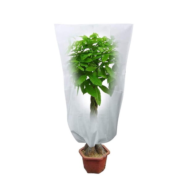 Cubiertas De Plantas Tela de cubierta de protección de plantas de arbustos de árboles para plantas de invierno contra el frío L Ndcxsfigh Libre de BPA