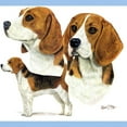 thumbnail image 3 of CafePress - Beagle Multi Light T Shirt - Light T-Shirt - CP, 3 of 4