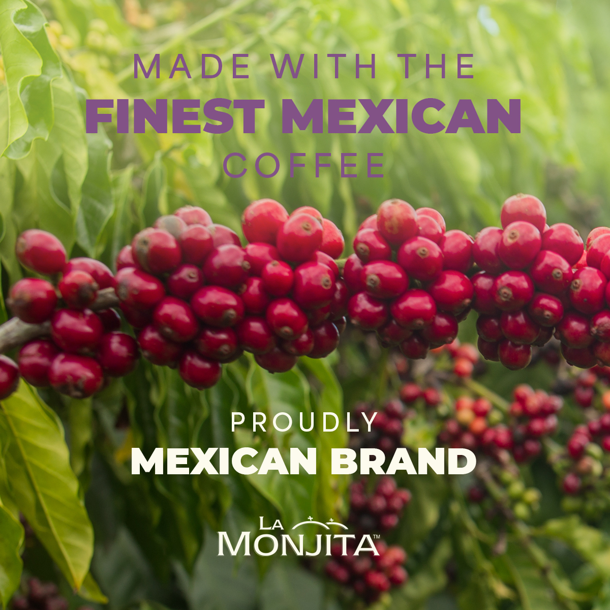 La Monjita Traditional Mexican Cafe de la Olla - Ground Coffee Blend with Cinnamon & Clove (500g / 17.6oz Pouch)