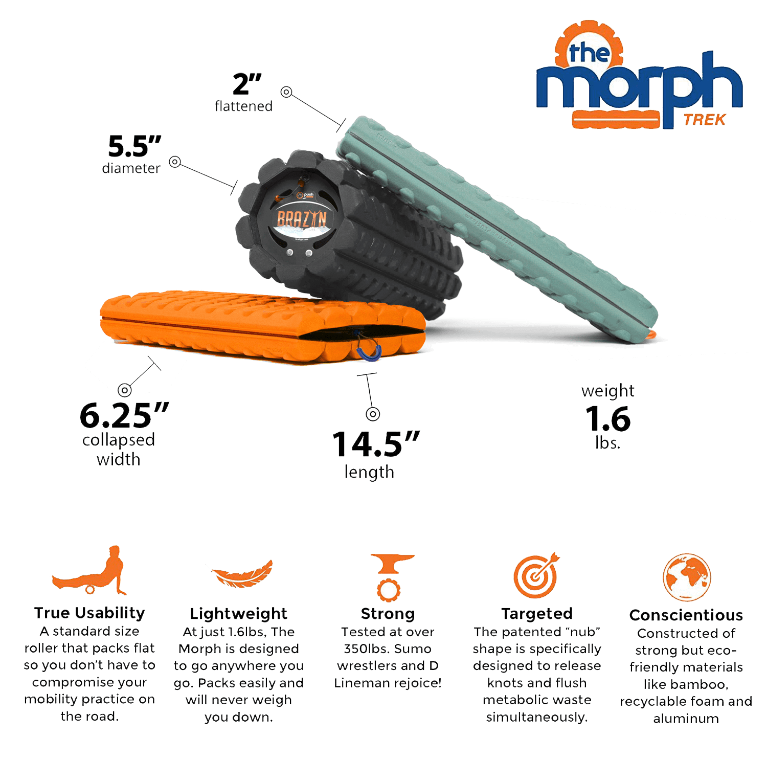Morph Collapsible Travel Foam Roller (Deep-Tissue) - High-Density Foam for Home, Gym, Office, Travel, Athletes - Lightweight Massager for Trigger Point Massage, Myofascial Release - Sage Green