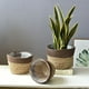thumbnail image 5 of Cesta de almacenamiento para macetas,cesta tejida de almacenamiento para plantas,cesta de jardín,cesta de almacenamiento para floristería,cesta plegable,cesta de madera,cesta de, 5 of 8