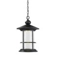 thumbnail image 1 of Outdoor LED Black Chain Hung Light - Clear Seedy, 1 of 1