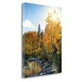 thumbnail image 1 of Tangletown Art, 24 x 18 "Autumn Sun " by Dennis Frates, Gallery Wrap Canvas Art, 1 of 2