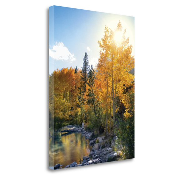 Tangletown Art, 24 x 18 "Autumn Sun " by Dennis Frates, Gallery Wrap Canvas Art