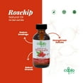 thumbnail image 5 of (3 pack) Capilo Pro Rose Hip Oil, Hair & Skin Nourishing Treatment, 100% Vegetable Oil, 2 oz, 5 of 9