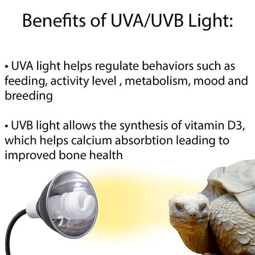 UVB Bulb - Bulb Only