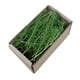 thumbnail image 2 of Césped en miniatura de simulación, paisajismo DIY, mechón tupido para jardín de hadas. Verano verde, 2 of 9