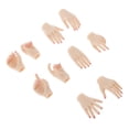 thumbnail image 4 of 5 Modelos de Del Cuerpo Femenino para Accesorio de Hugo Natural 10 piezas 5 pares 1:6 figura de ón femenina modelos de mano reemplazables Manos femeninas de 12 pulgadas, 4 of 9
