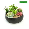 thumbnail image 2 of K-Cliffs Home Decor 8.9 inch Round Cement Minimalist Succulent Planter/Pot (Black), 2 of 10