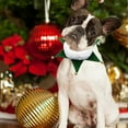 thumbnail image 5 of Festive Holiday Pet Neck Scarf Dress Up Accessory for Cats and Dogs with Adjustable Collar Design, 5 of 5