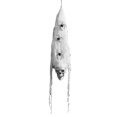 thumbnail image 1 of Labymos 2.78ft Halloween Ghost Hanging Decoration Scary Flying Ghost with Colorful LED Light Spider Skull, 1 of 5