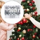 thumbnail image 5 of 40 piezas de adornos de bolas de Navidad/adornos colgantes para árboles de Navidad/decoración navideña para año Nuevo, cumpleaños, aniversario, fiesta Plata, 5 of 8