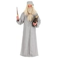thumbnail image 3 of Déguisement de Luxe Harry Potter Dumbledore pour Homme, 3 of 3