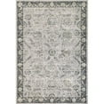 thumbnail image 1 of Dynamic Rugs PE243740190 2 Pi x 3 Pi 5 in. Nacre 3740 Rectangle Zone de Transition Tapis - 190 Gris Clair, 1 of 1
