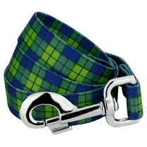 Country Brook Petz® 1 Inch Blue and Green Plaid Dog Leash, 4 Foot