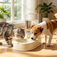thumbnail image 5 of Automatic Water Feeder for Cats,Non-Slip Spill Proof Water Container for Indoor Pet Daily Use | Automatic Water Dispenser for Small Dog & Cat, 5 of 7