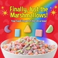 thumbnail image 5 of (3 pack) Snackathon Cereal Marshmallows, Assorted Rainbow, Resealable Pouches (Various Sizes), 5 of 10