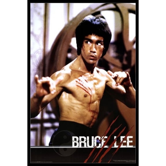 Rolled Poster Bruce Lee - Fight Laminated & Framed 24" x 36" Poster