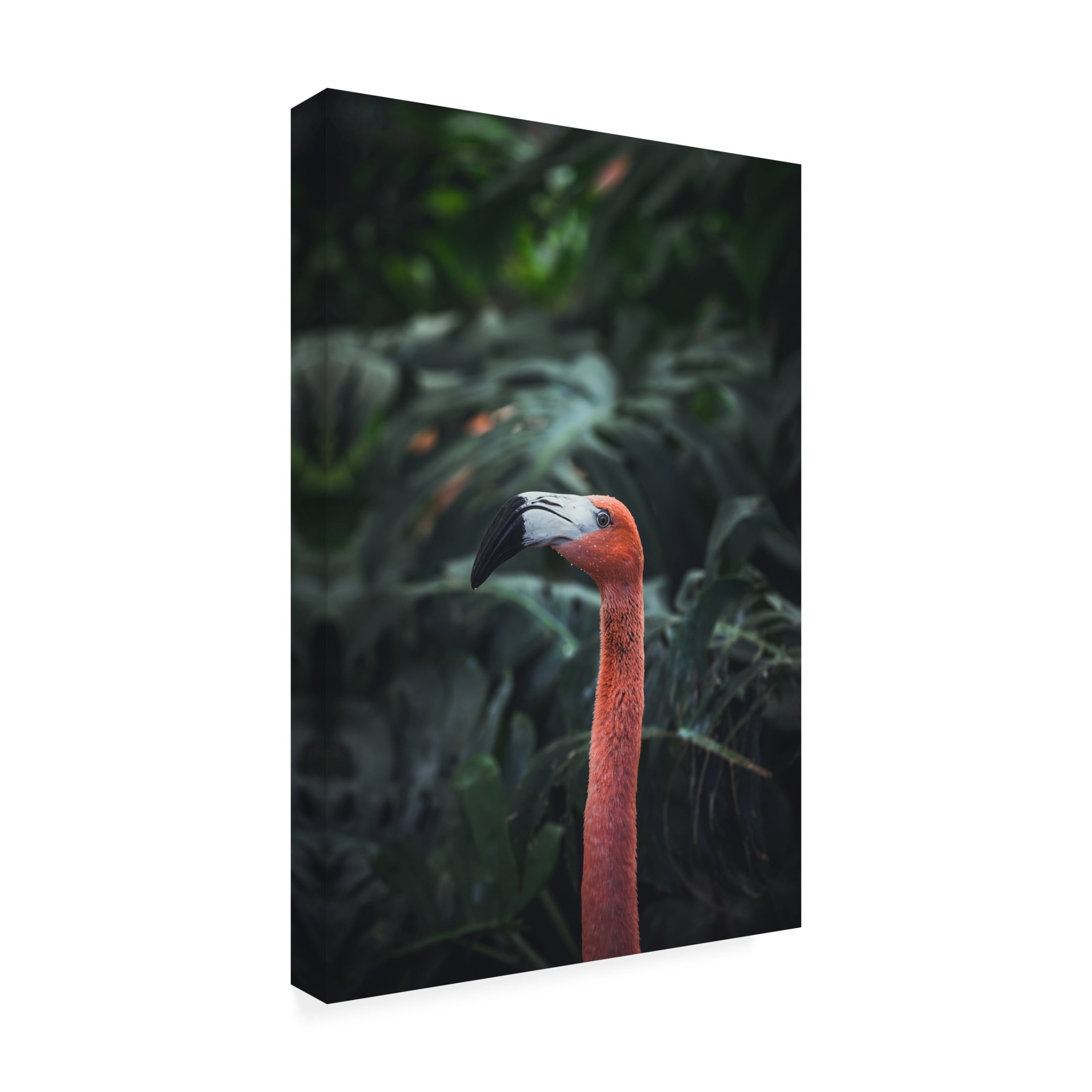 Trademark Fine Art Dayvee Flamingo Canvas Wall Art