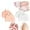 Pink+White, variant on Briza Toe Sleeves, 2/4 Pairs Silicone Toe Sleeves Toe Protectors, Breathable Soft and Comfortable Gel Toe Separators & Toe Spacers for Men Women (ONE SIZE,White+Transparent)
