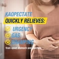 thumbnail image 3 of Kaopectate® Soft Chews 2x24ct Twinpack, 3 of 4