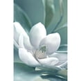 thumbnail image 3 of Delimont, Danita 11x14 Black Modern Framed Museum Art Print Titled - Magnolia Morning, 3 of 5