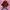 Ariel, variant on CoComelon Coral Plush Toddler Blanket, 40"x50", Character Print in Blue