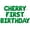 Green, variant on Letter Balloons - CHERRY FIRST BIRTHDAY 16" Inch Alphabet Letters Foil Mylar Balloon 1st Birthday Party Banner (Purple)